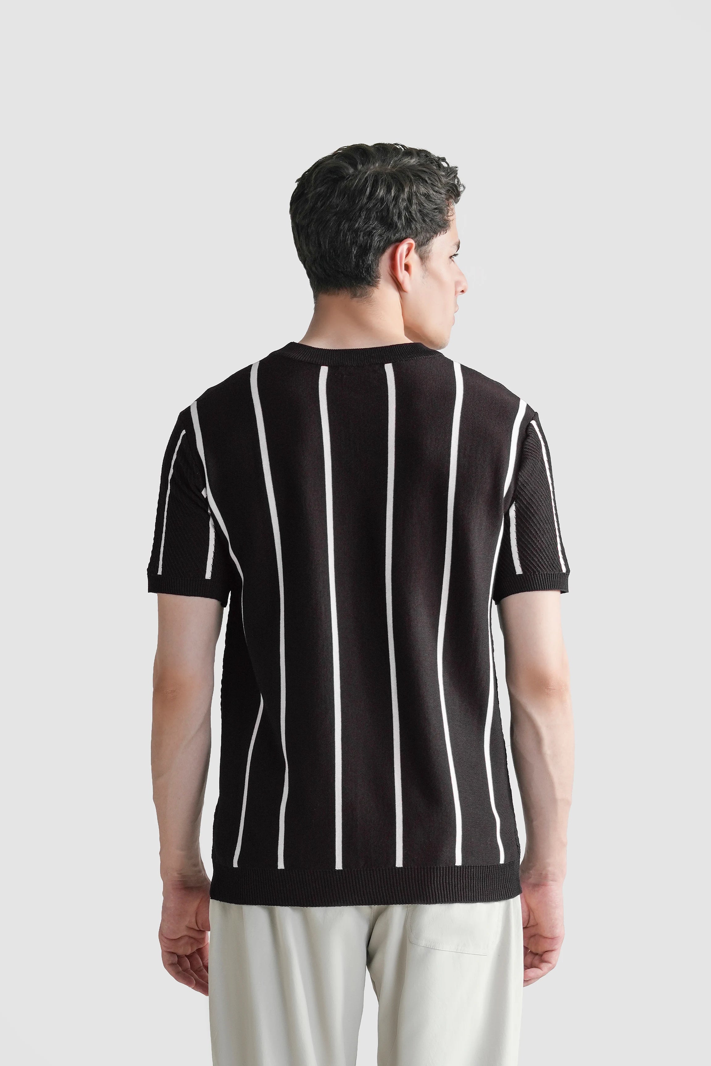 SWEATER KNIT SELF STRIPED CREW NECK T-SHIRT BROWN