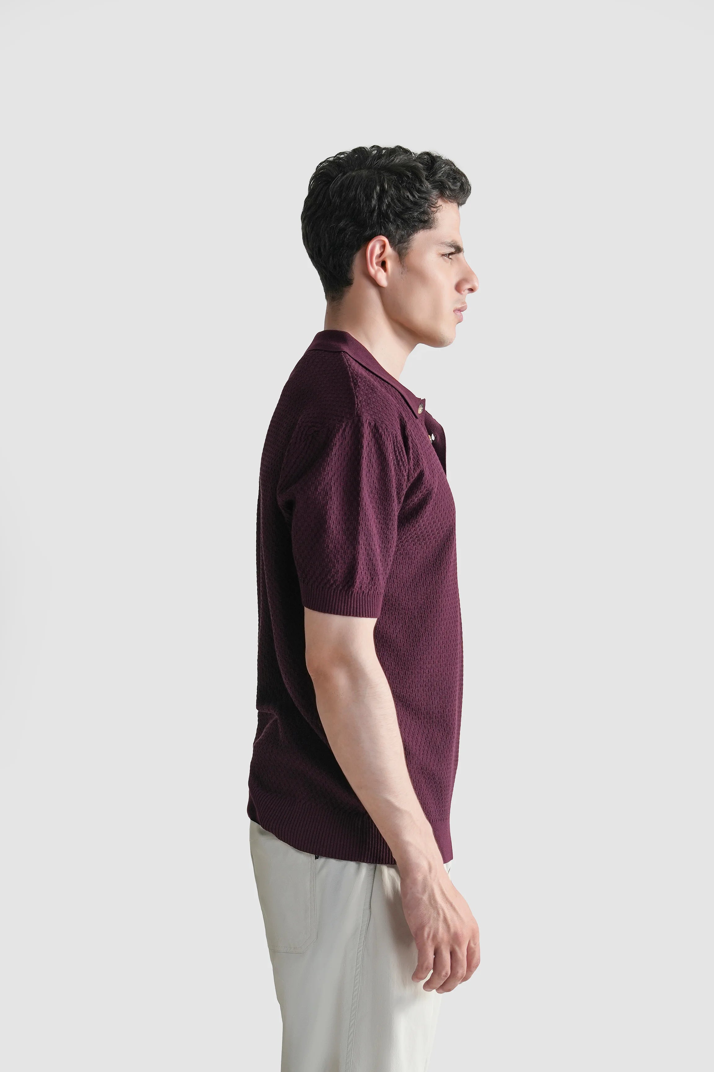 SWEATER KNIT SELF TEXTURED POLO BURGUNDY