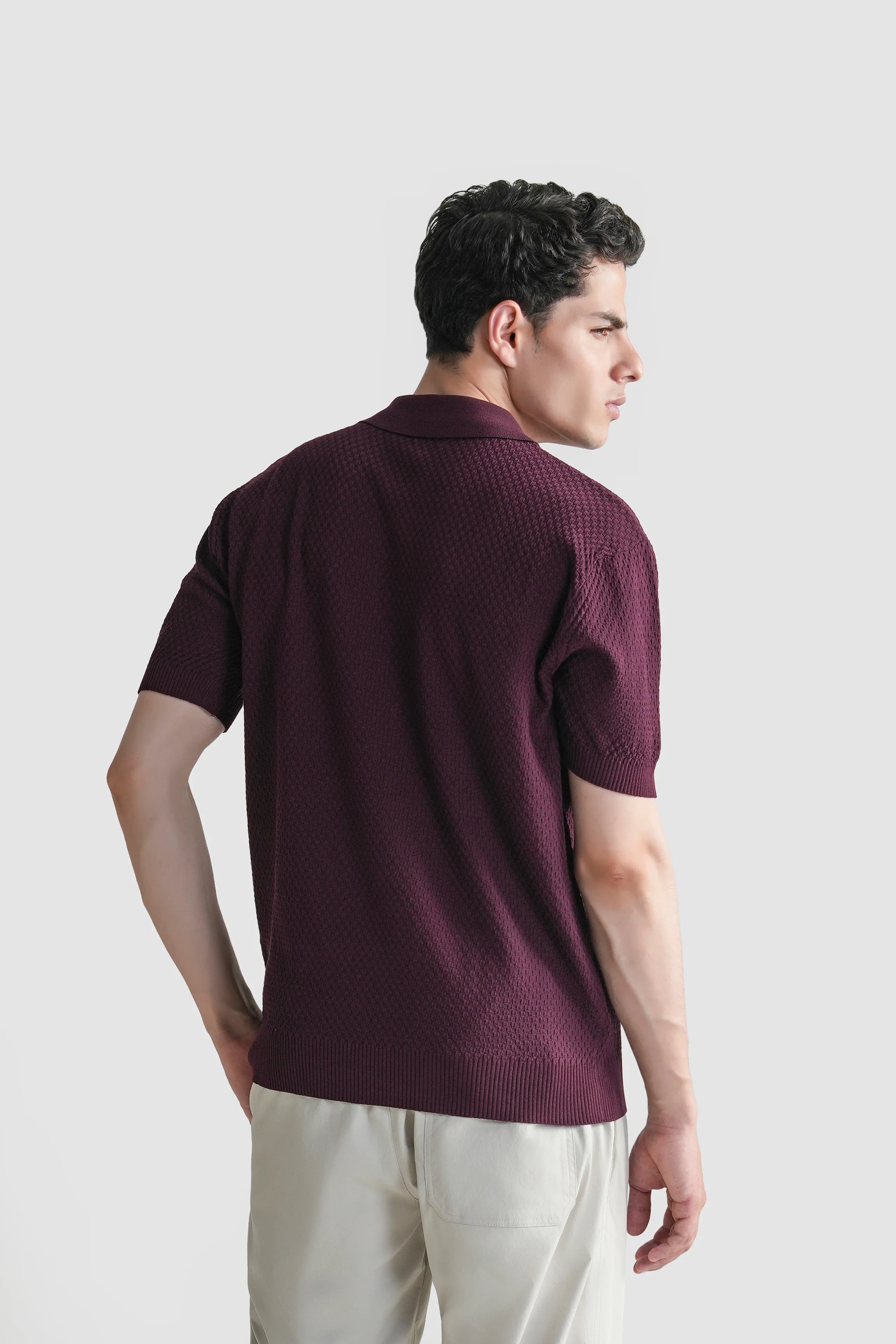 SWEATER KNIT SELF TEXTURED POLO BURGUNDY