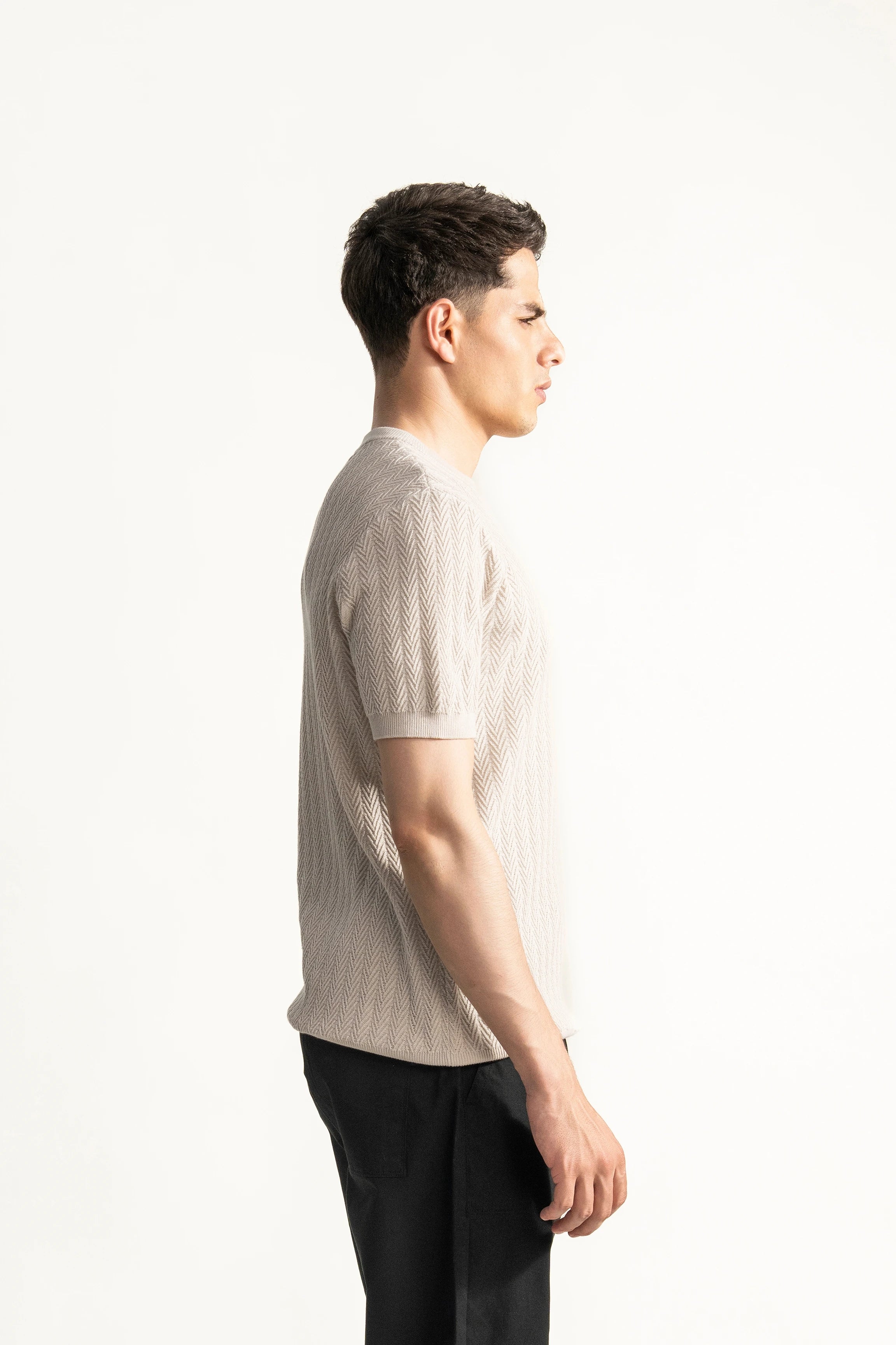SWEATER KNIT SELF STRIPED CREW NECK T SHIRT BEIGE