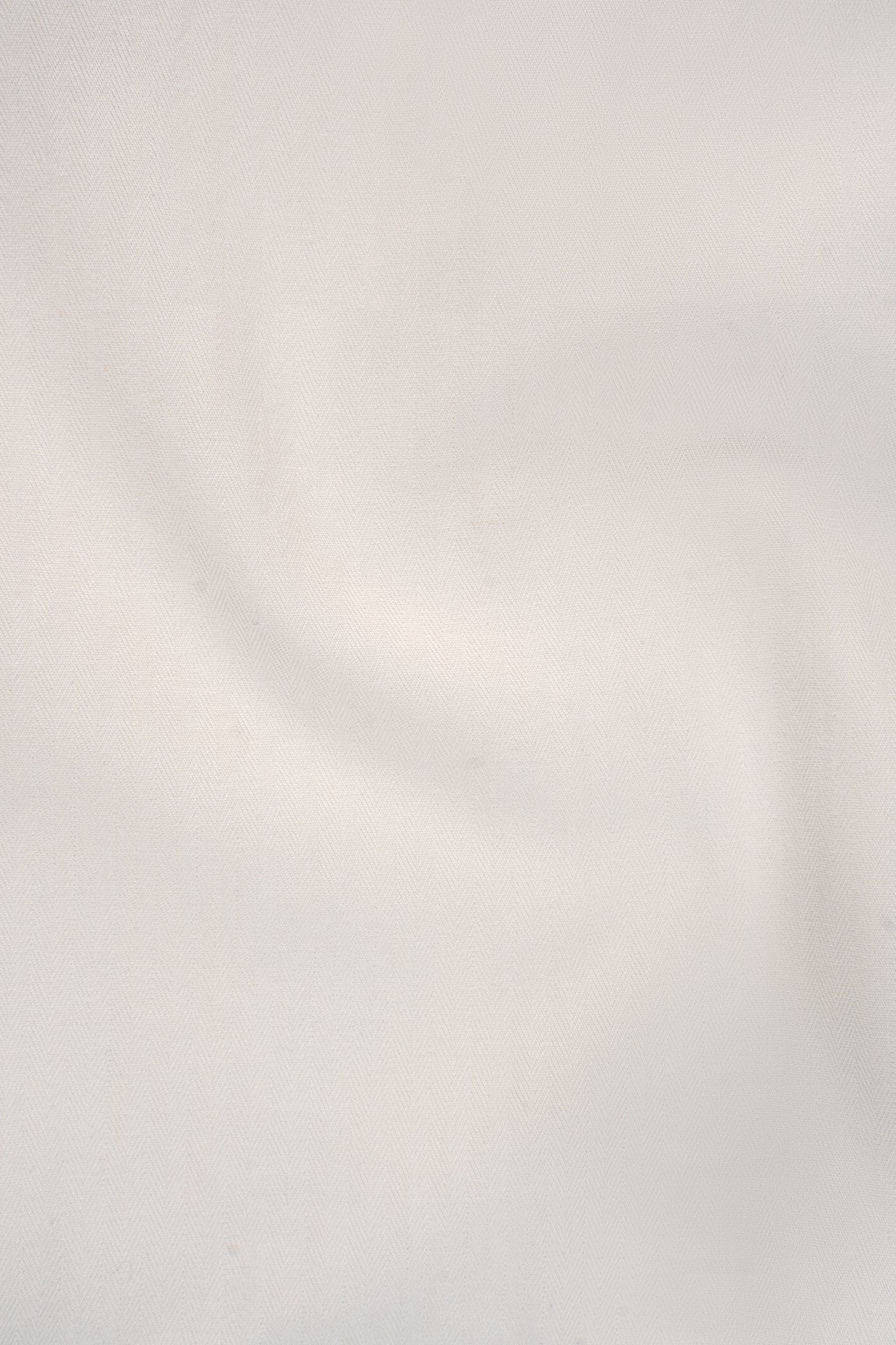 LIMITED EDITION SHIRTS