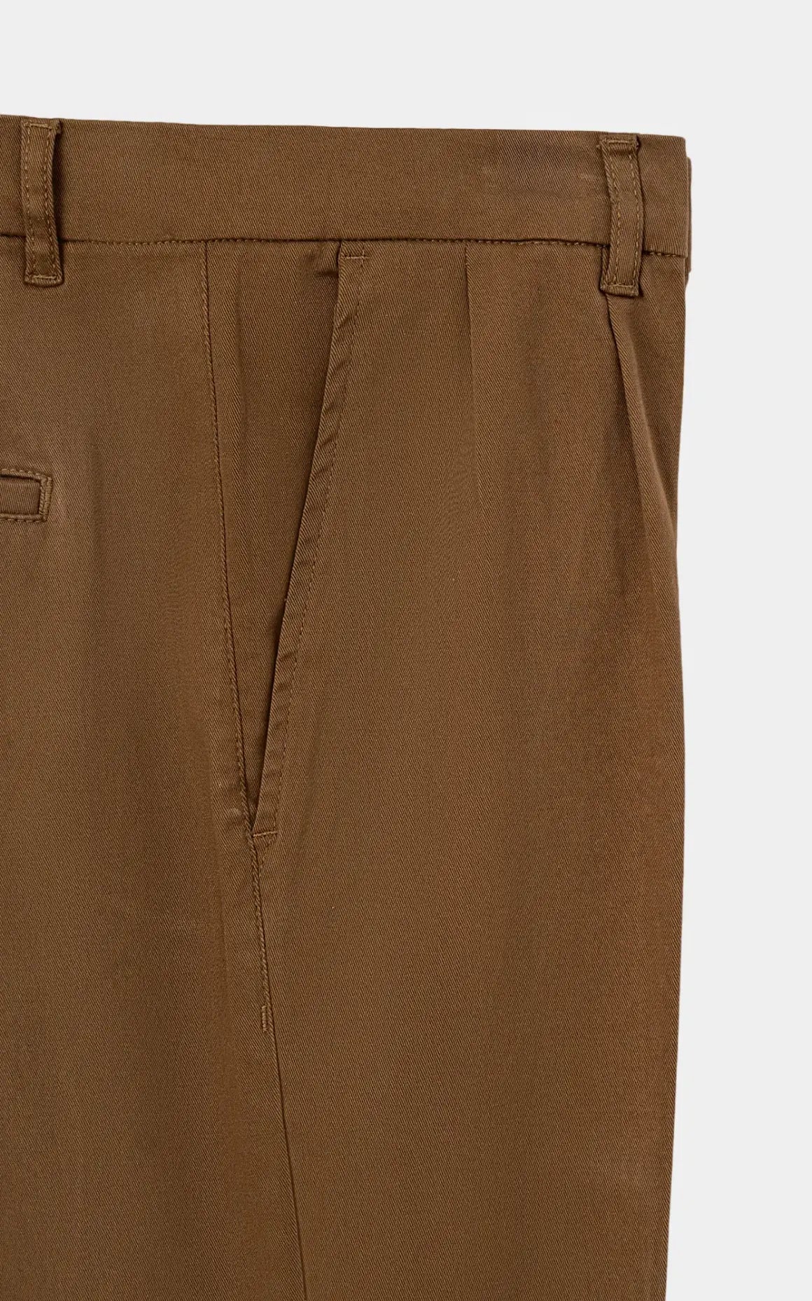 TWILL PLEATED REGULAR FIT CASUAL PANT BROWN