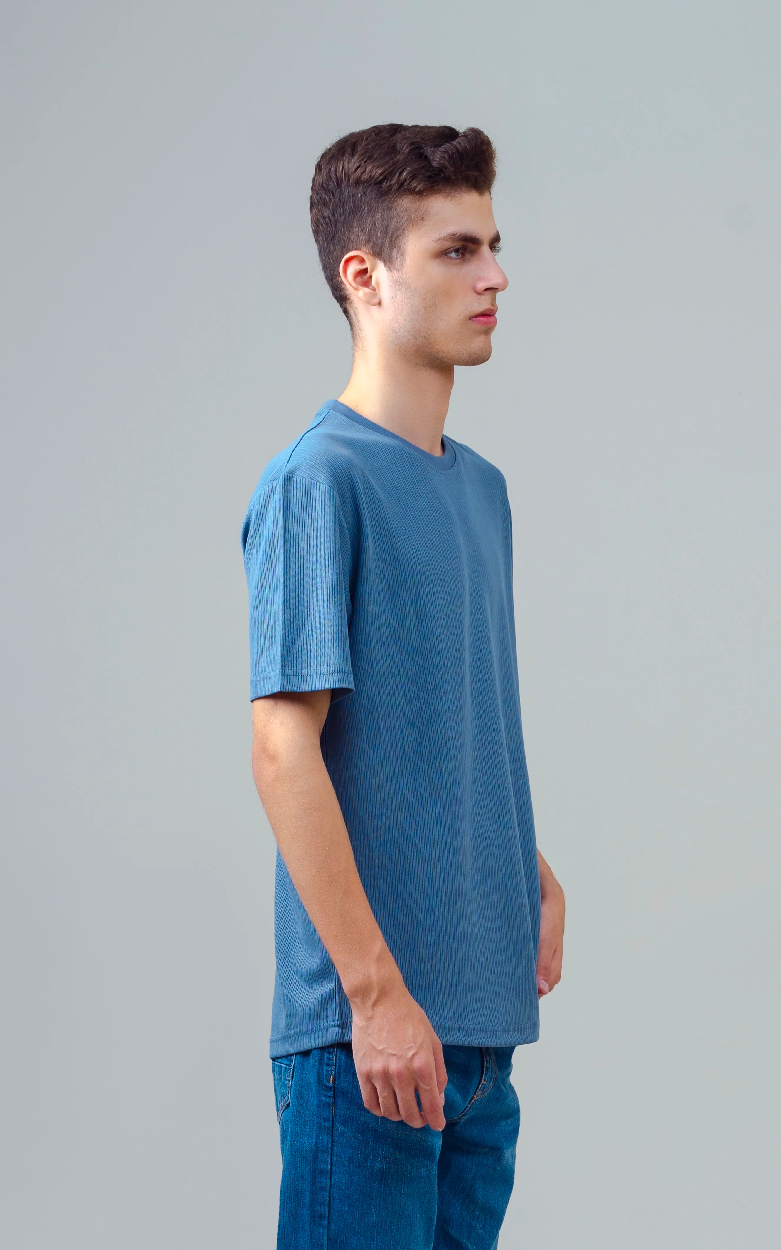 SELF STRIPED CREW NECK T SHIRT BLUE