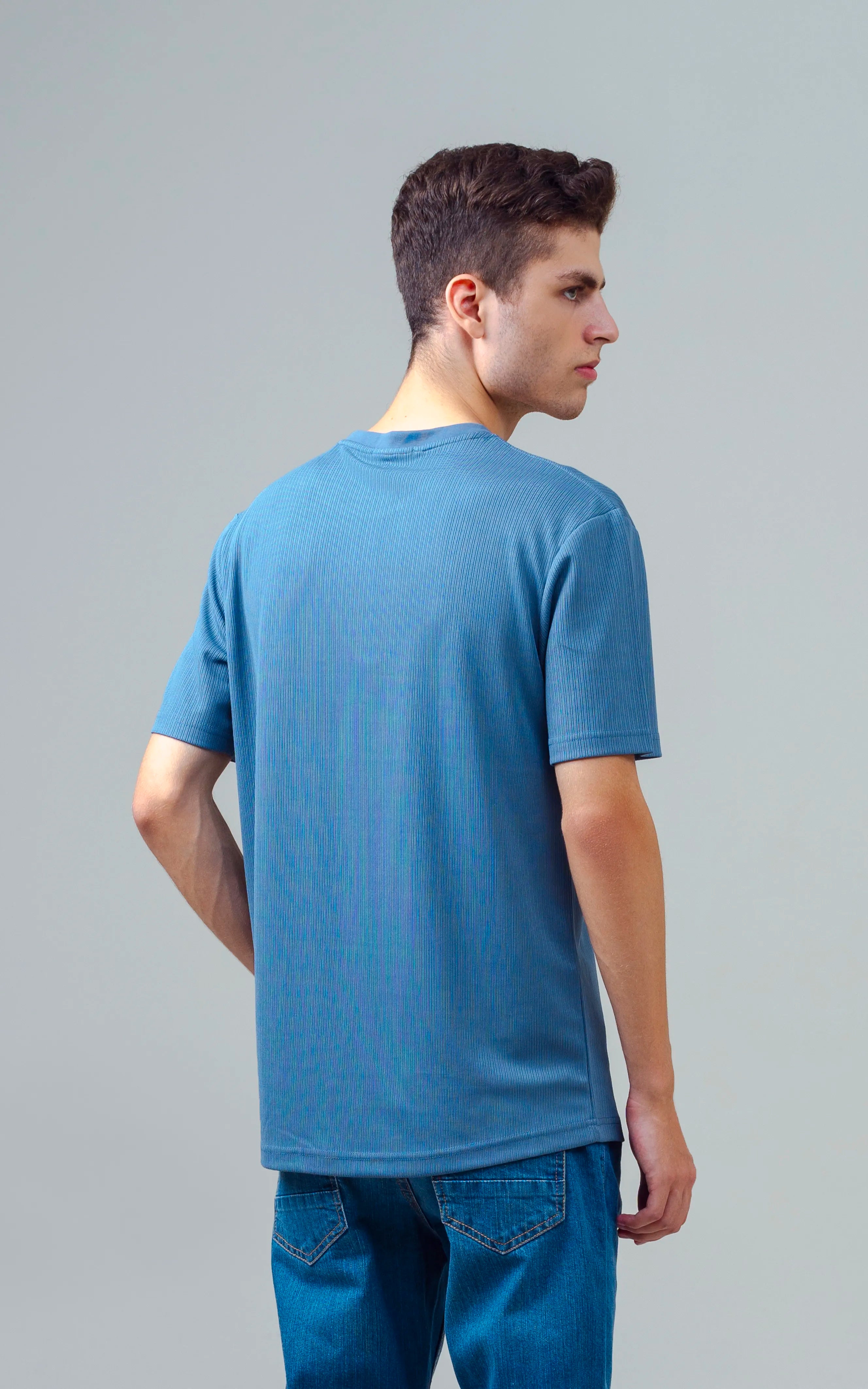SELF STRIPED CREW NECK T SHIRT BLUE