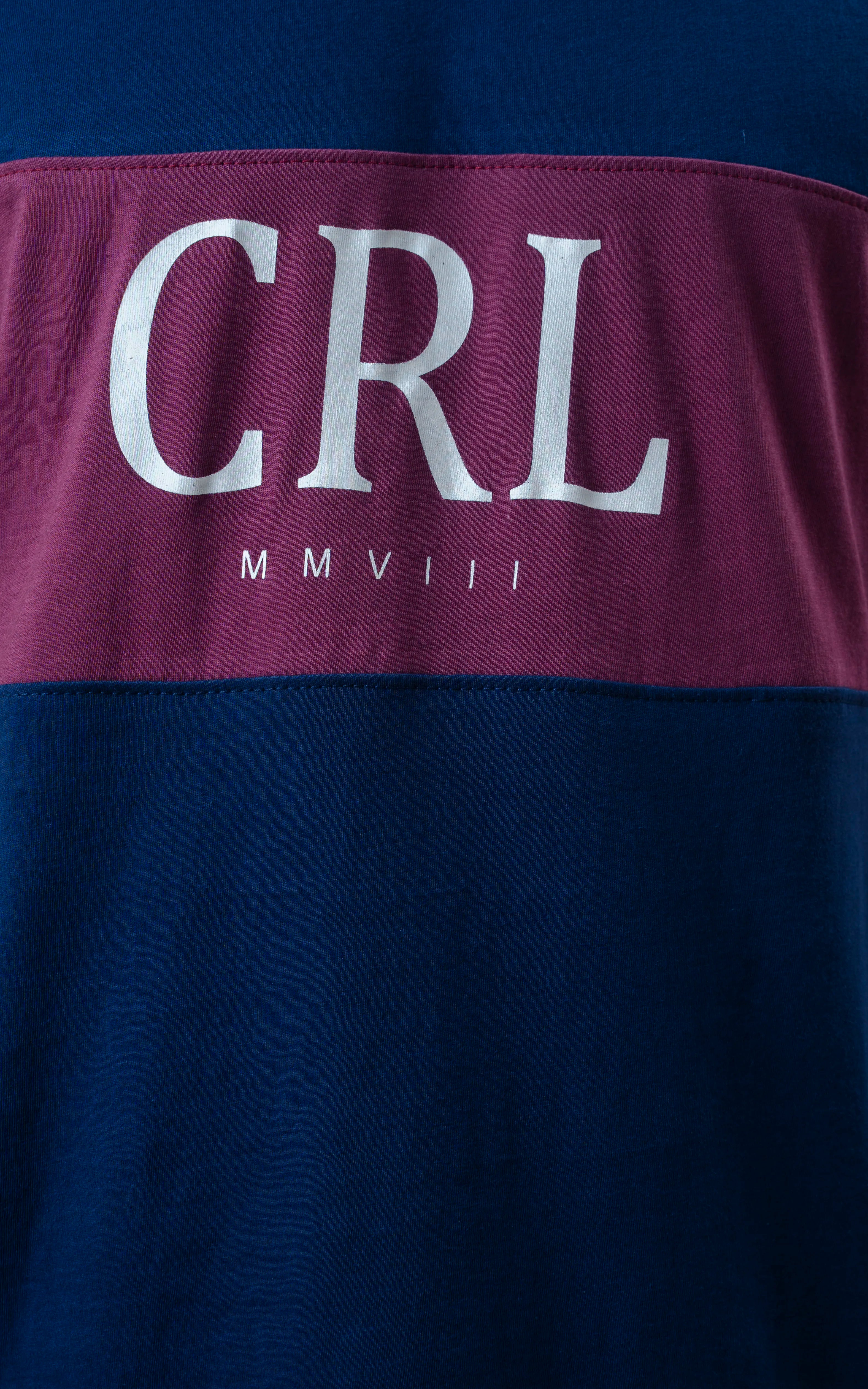 REGULAR FIT CUT & SEW GRAPHIC T-SHIRT NAVY