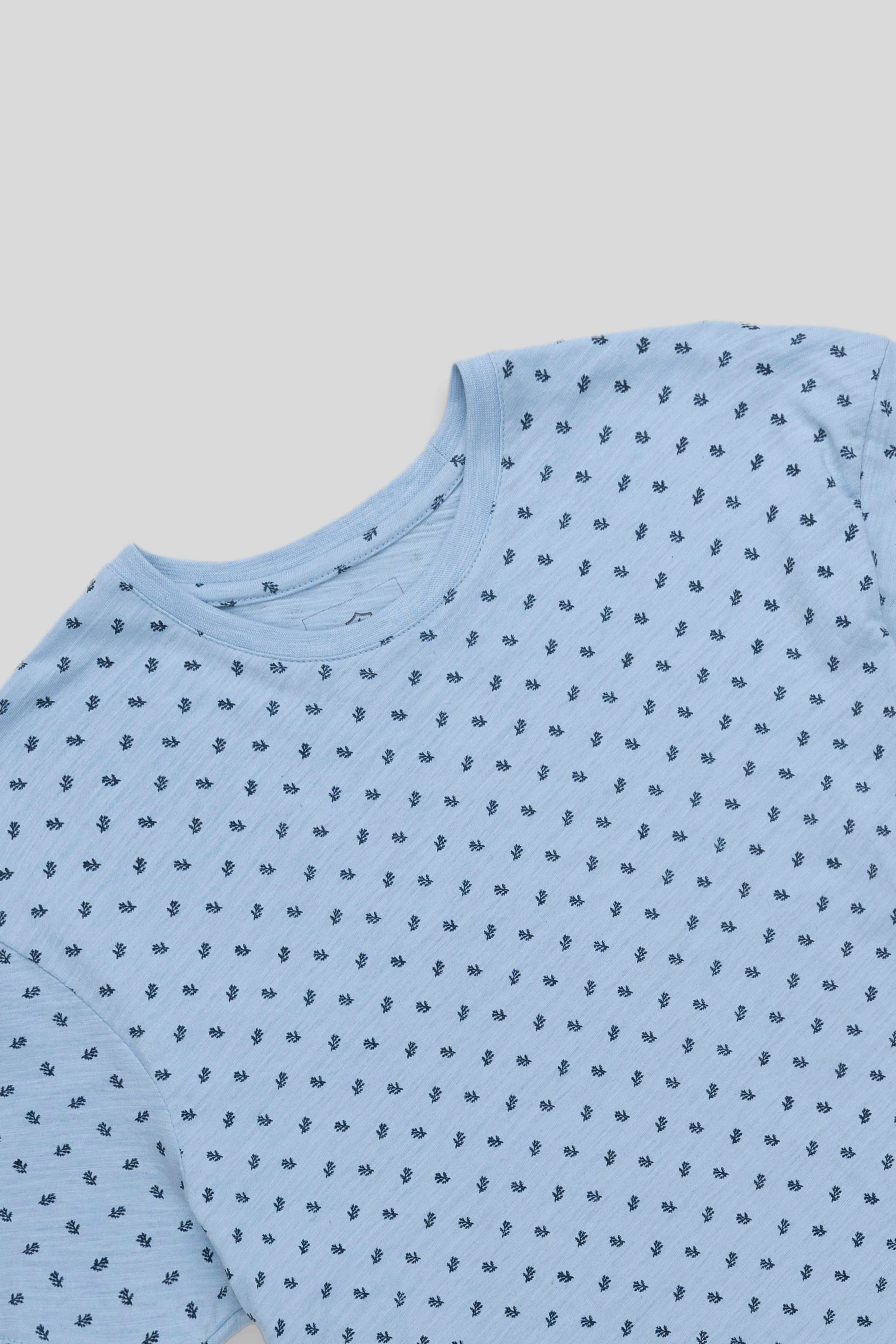 REGULAR FIT PRINTED T SHIRT SKY BLUE