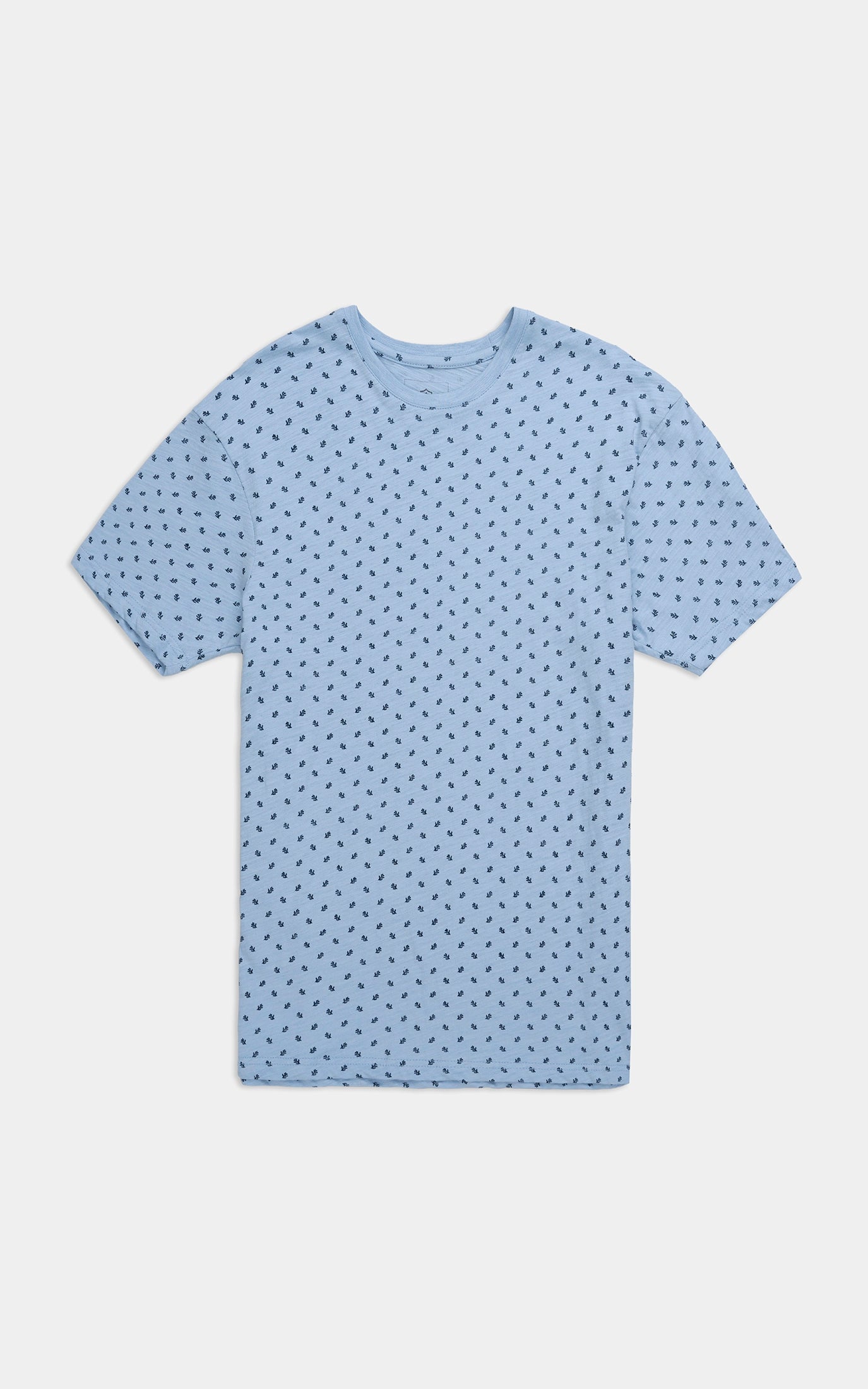 REGULAR FIT CREW NECK PRINTED T-SHIRT SKY BLUE
