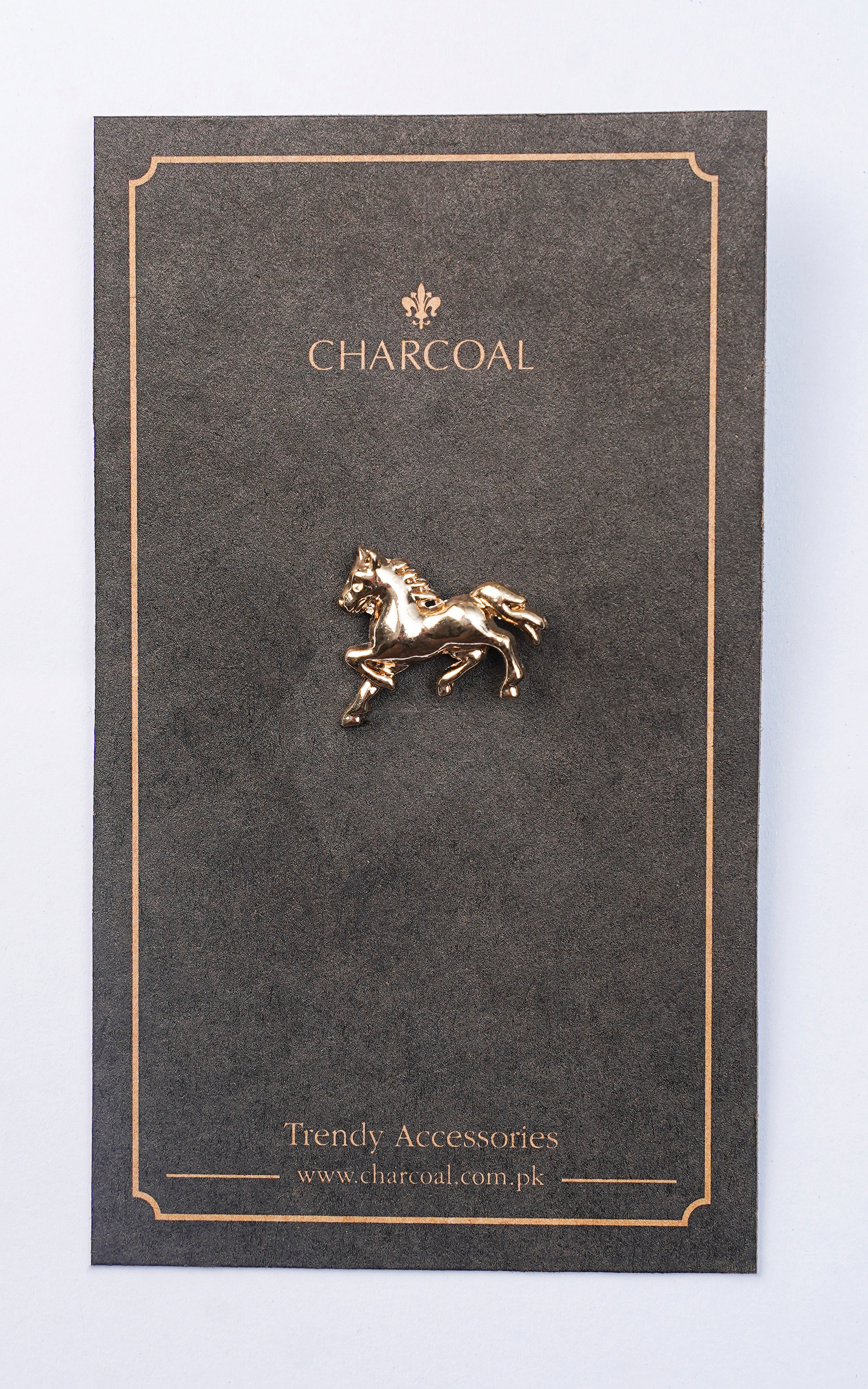 LAPEL PIN