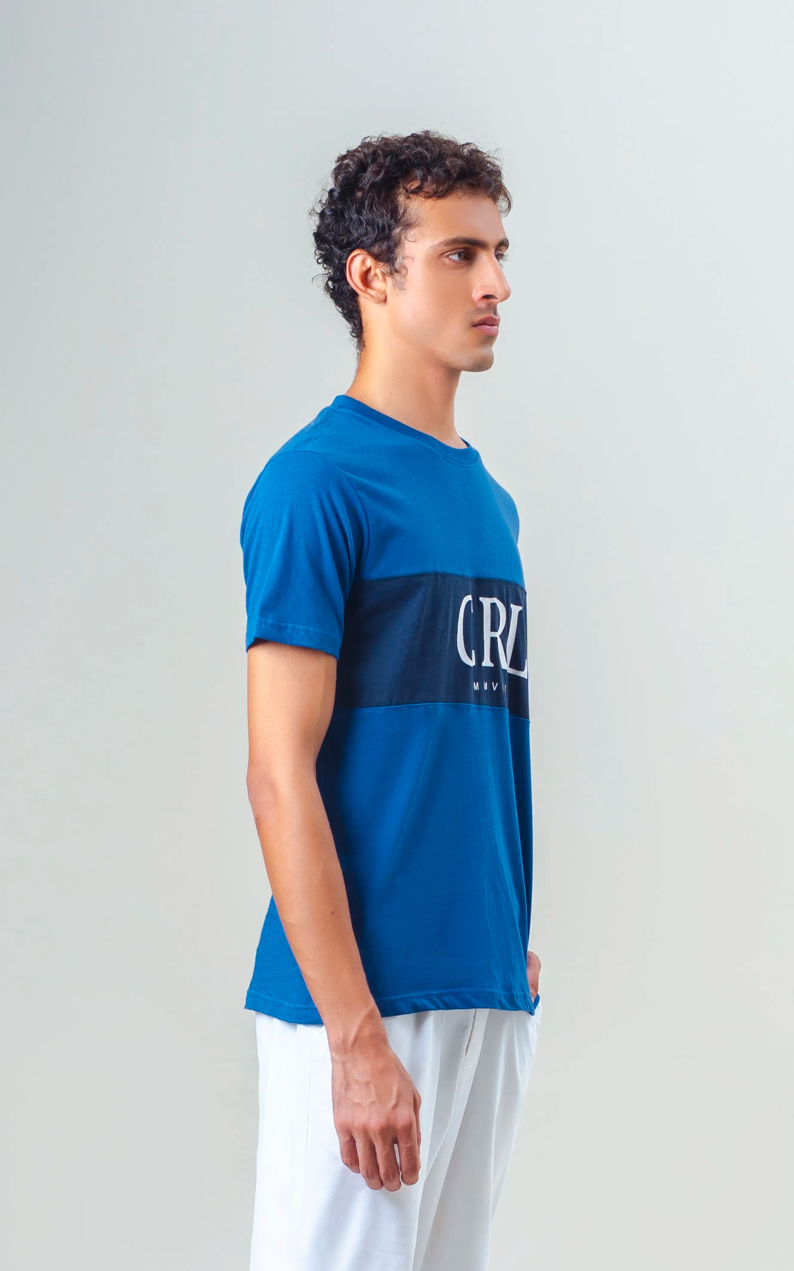 REGULAR FIT CUT & SEW GRAPHIC T-SHIRT ROYAL BLUE