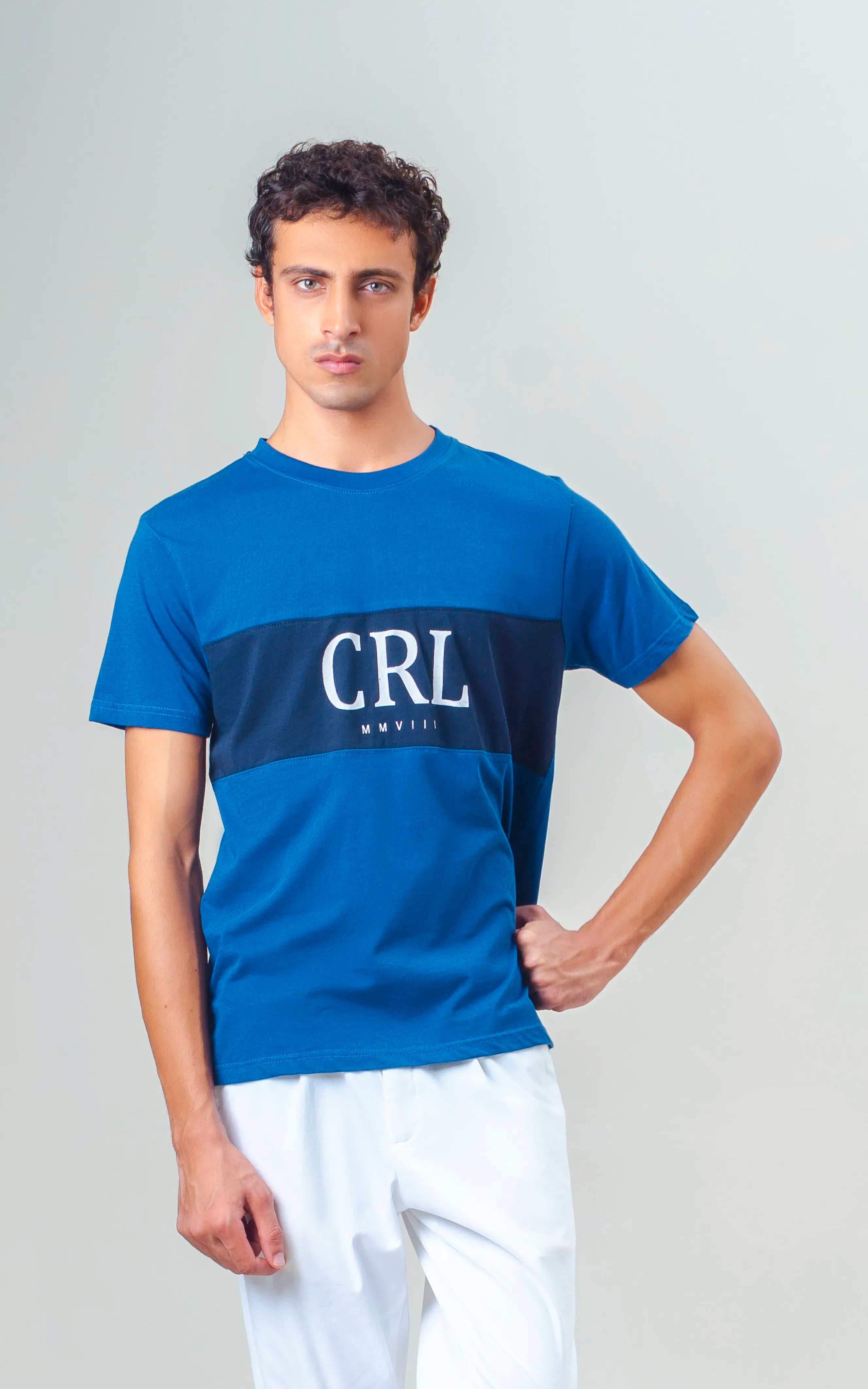 REGULAR FIT CUT & SEW GRAPHIC T-SHIRT ROYAL BLUE