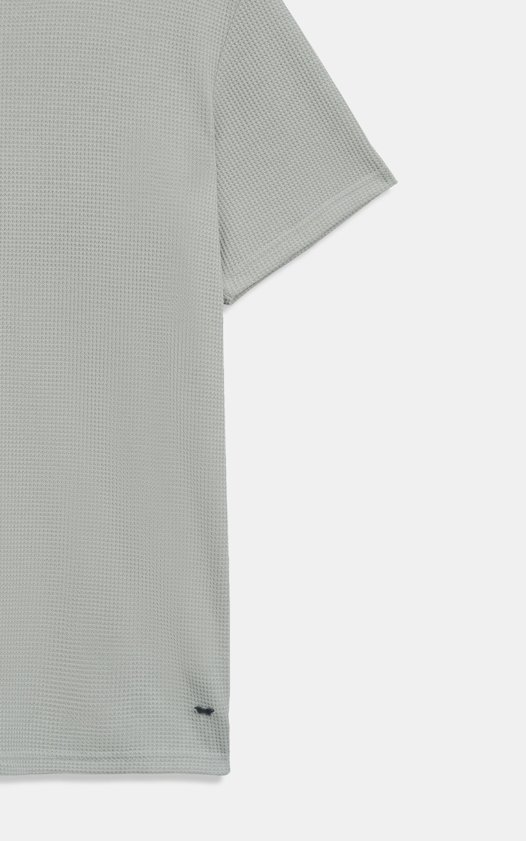 REGULAR FIT WAFFLE CREW NECK T SHIRT BEIGE