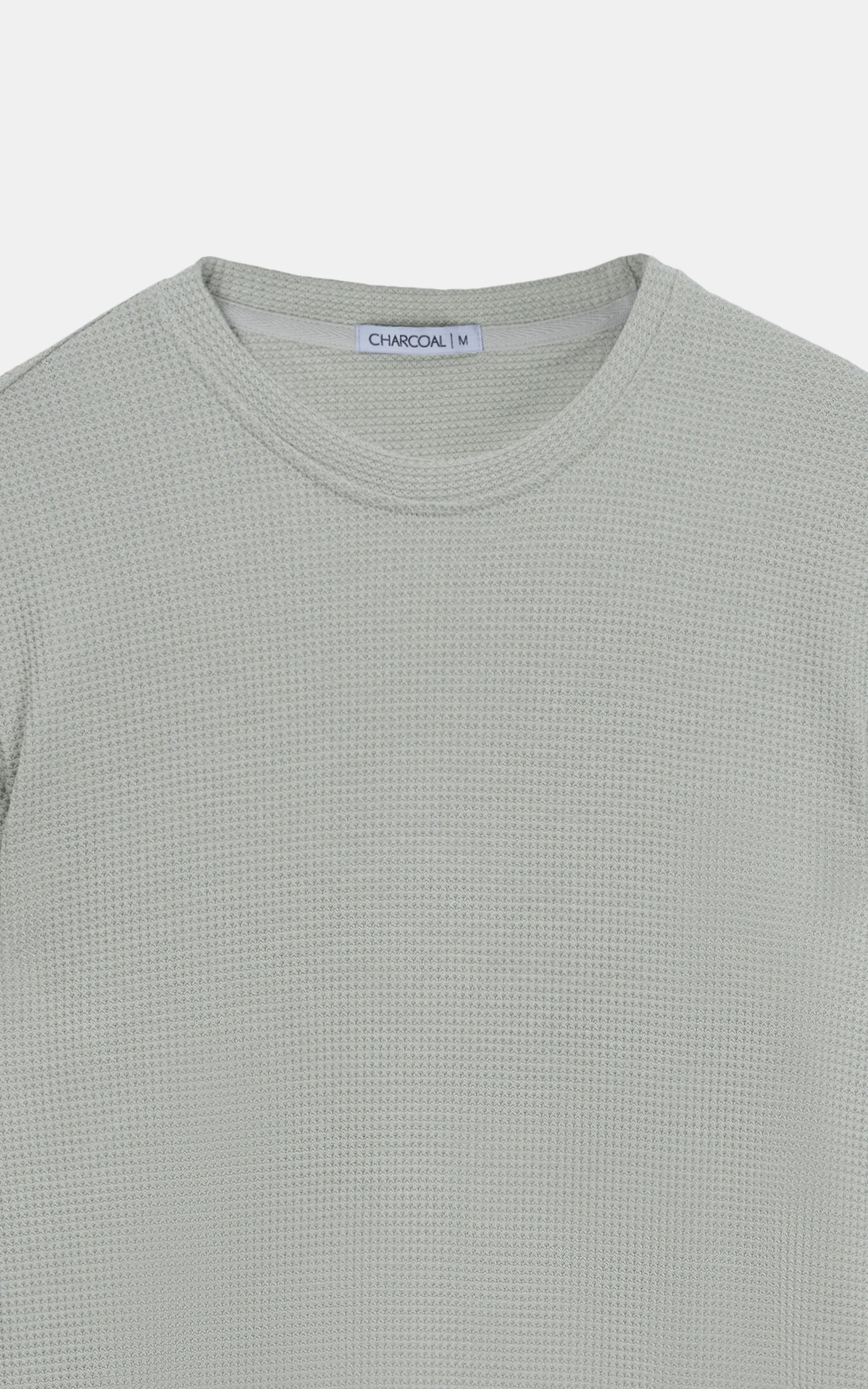 REGULAR FIT WAFFLE CREW NECK T SHIRT BEIGE