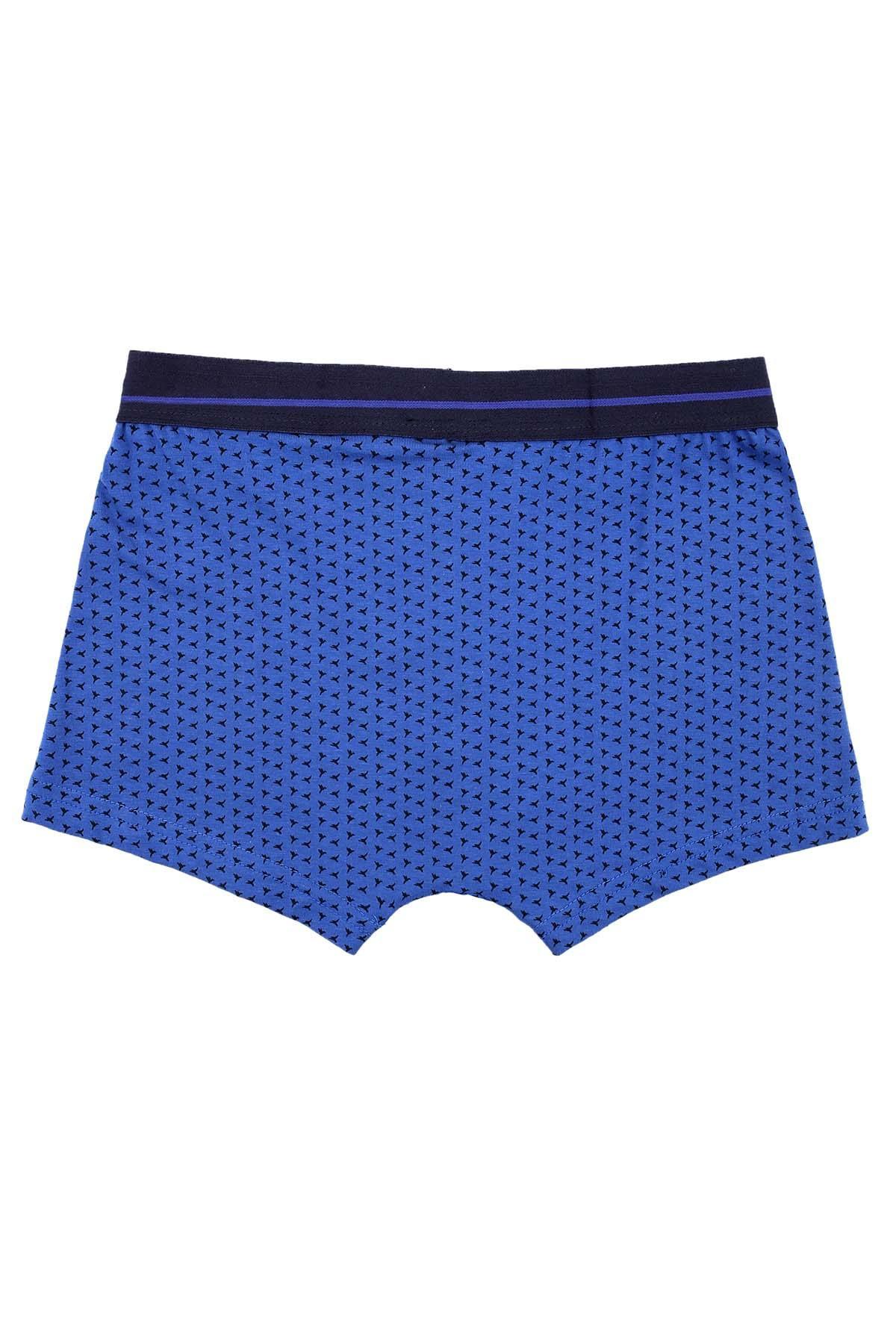 Royal blue boxer shorts with bird print and wider dark waistband stripe