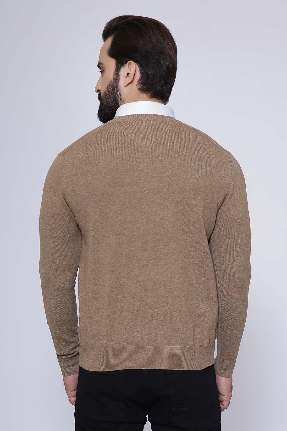 Light brown V-neck full-sleeve sweater, back view