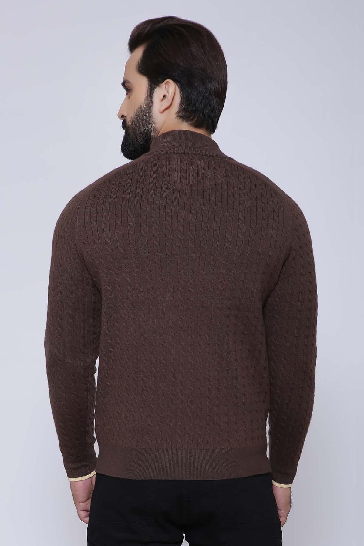 Brown zip-up sweater, full sleeves, back view with stand collar
