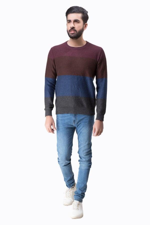 Sweater Round Neck Full sleeve Multi at Charcoal Clothing