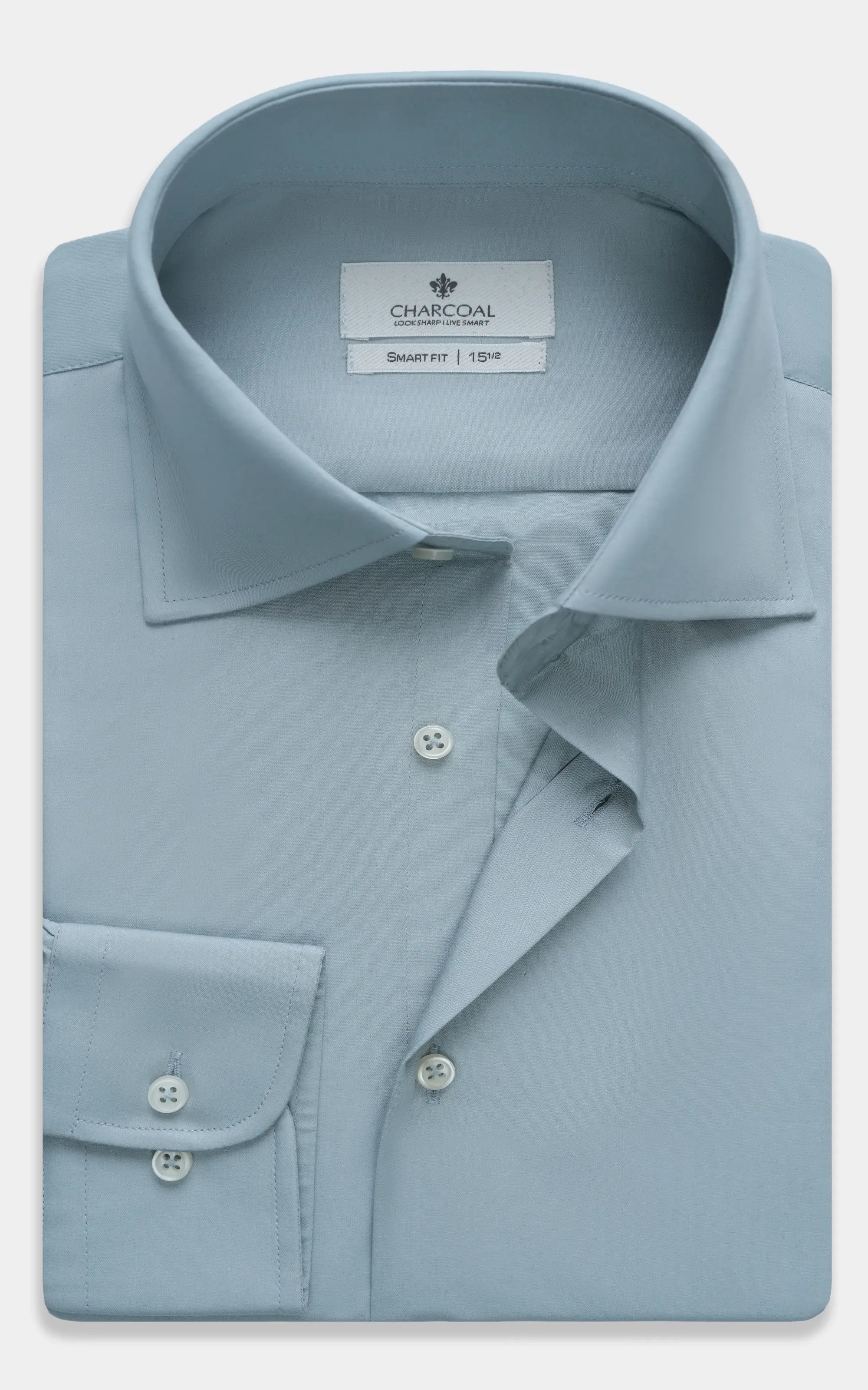 Dress shirt with button-down collar and button placket