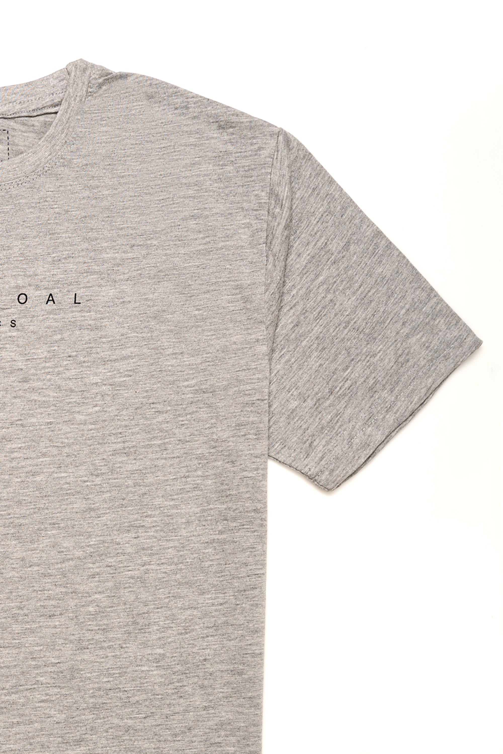 BASIC T-SHIRT HYDER GREY