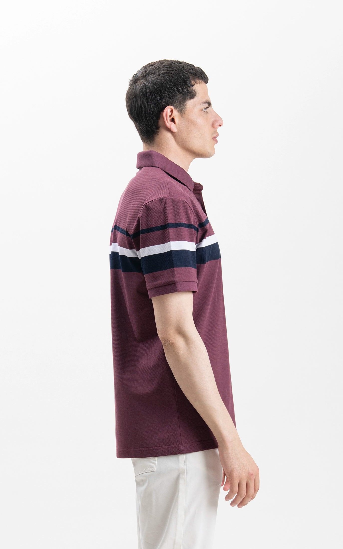 SMART FIT CLASSIC PREMIUM STRIPED POLO SHIRT PURPLE