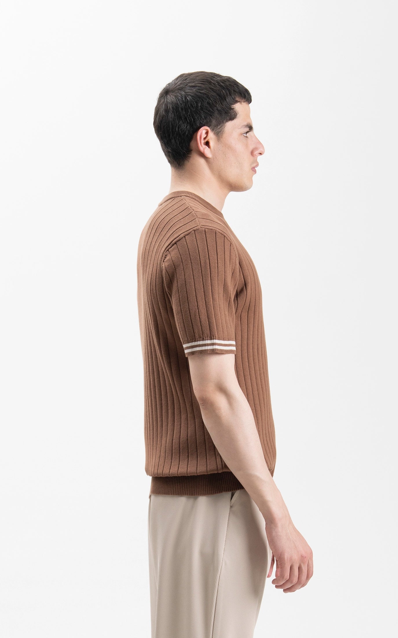 SWEATER KNIT SELF STRIPED CREW  NECK T SHIRT BROWN