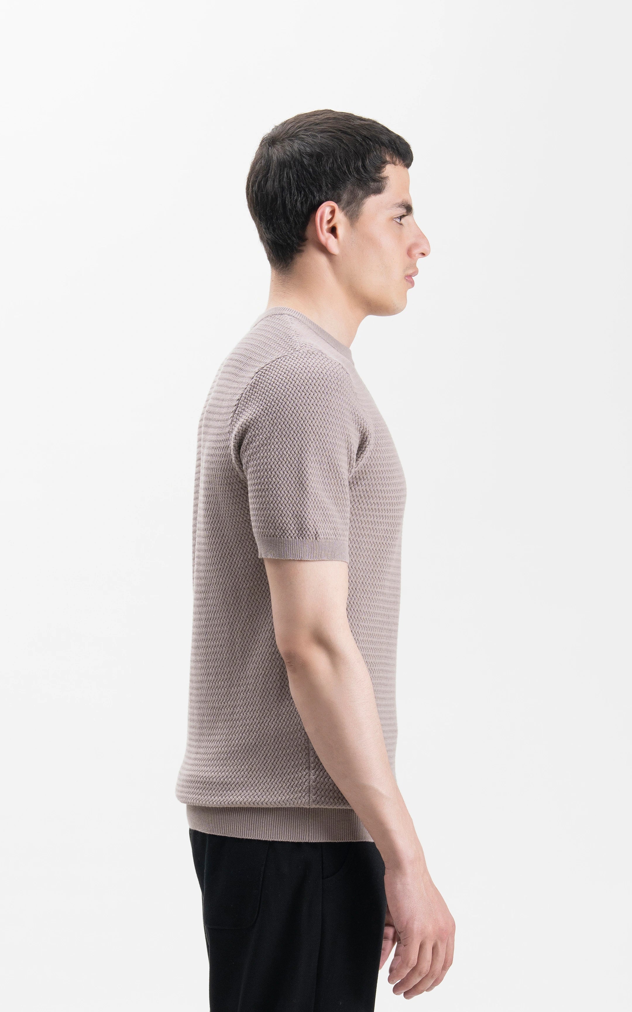 SWEATER KNIT SELF TEXTURED CREW NECK T SHIRT ASH GREY