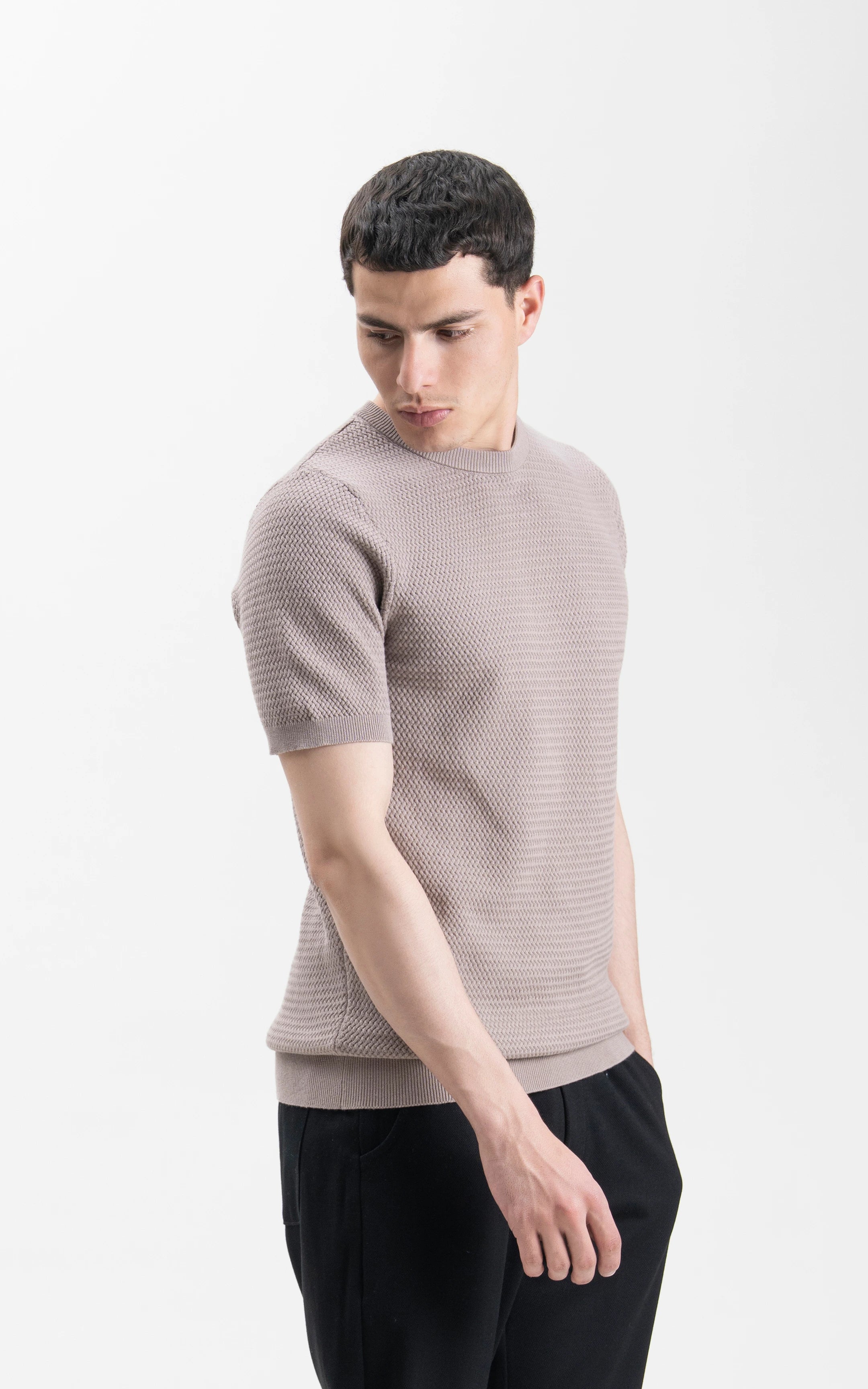 SWEATER KNIT SELF TEXTURED CREW NECK T SHIRT ASH GREY