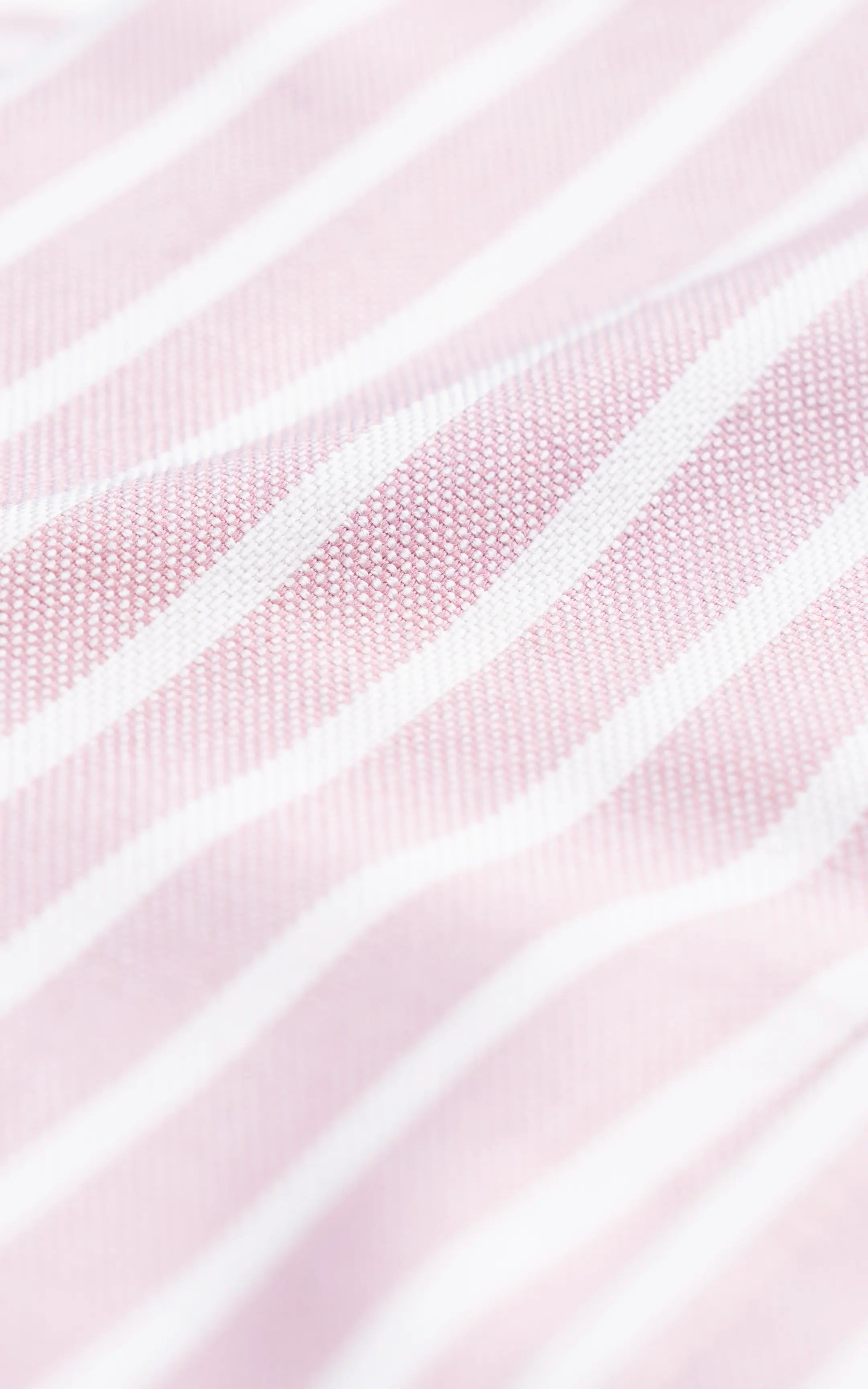 SMART SHIRT BUTTON DOWN COLLAR PINK
