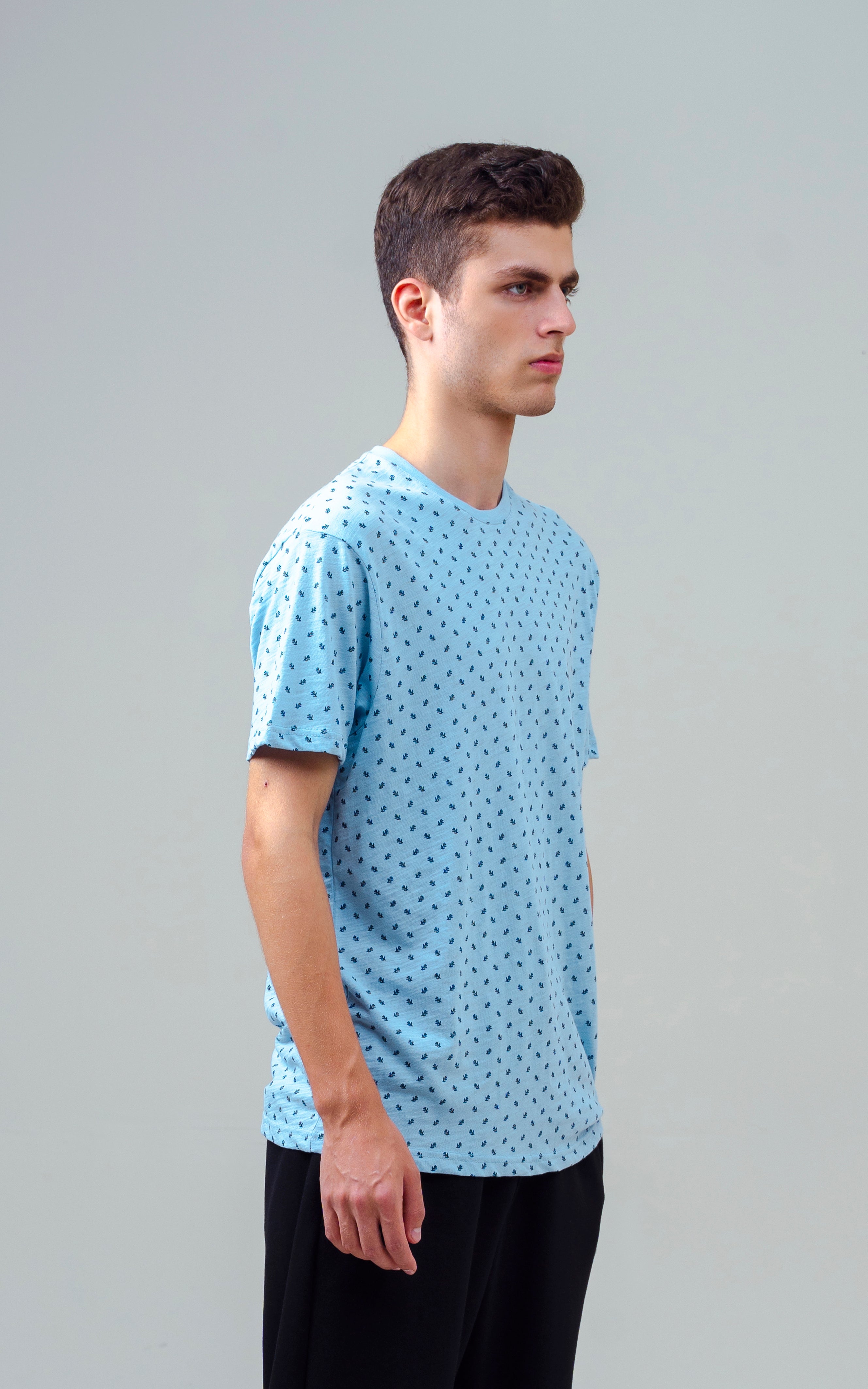 REGULAR FIT PRINTED T SHIRT SKY BLUE