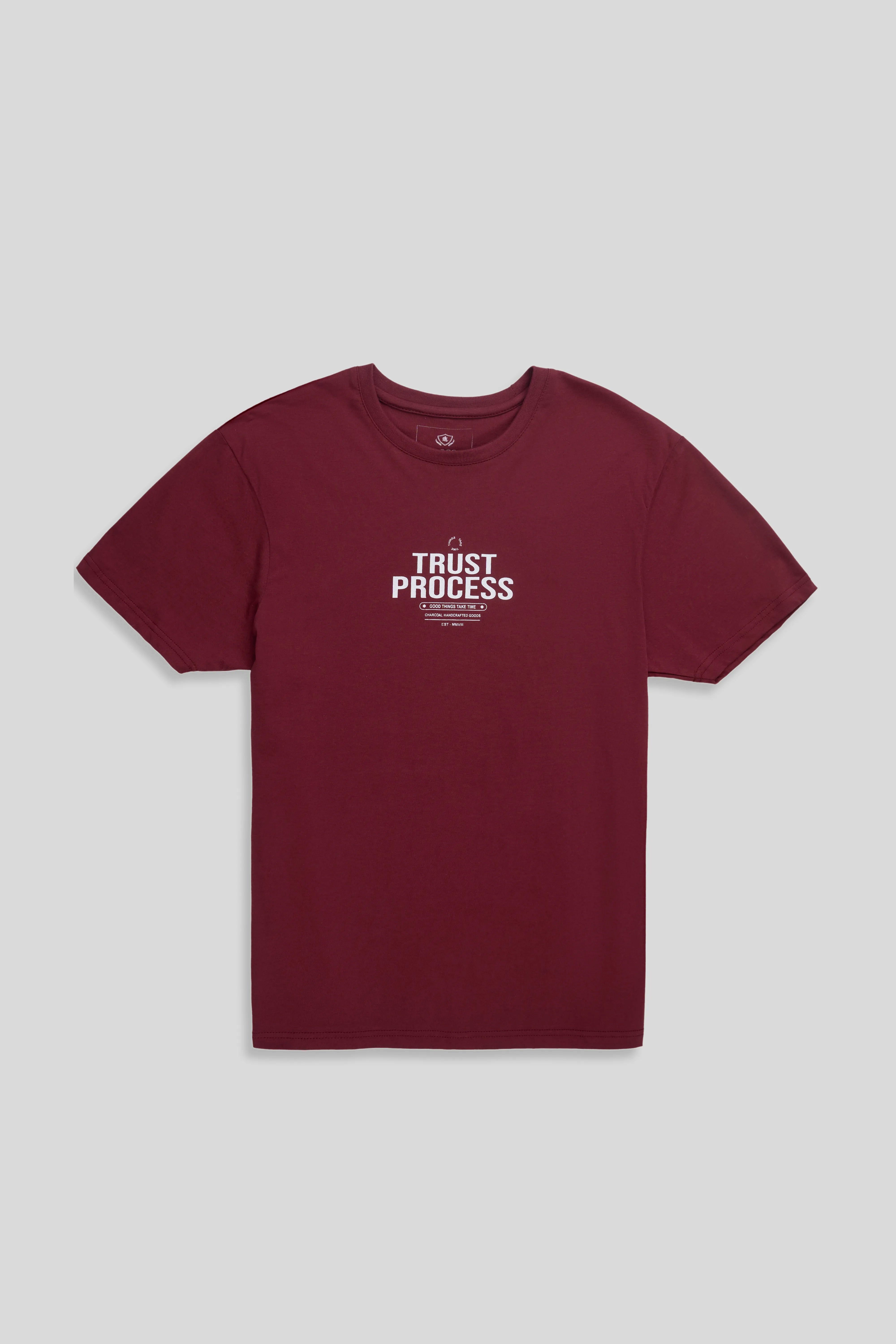 REGULAR FIT GRAPHIC T SHIRT MAROON