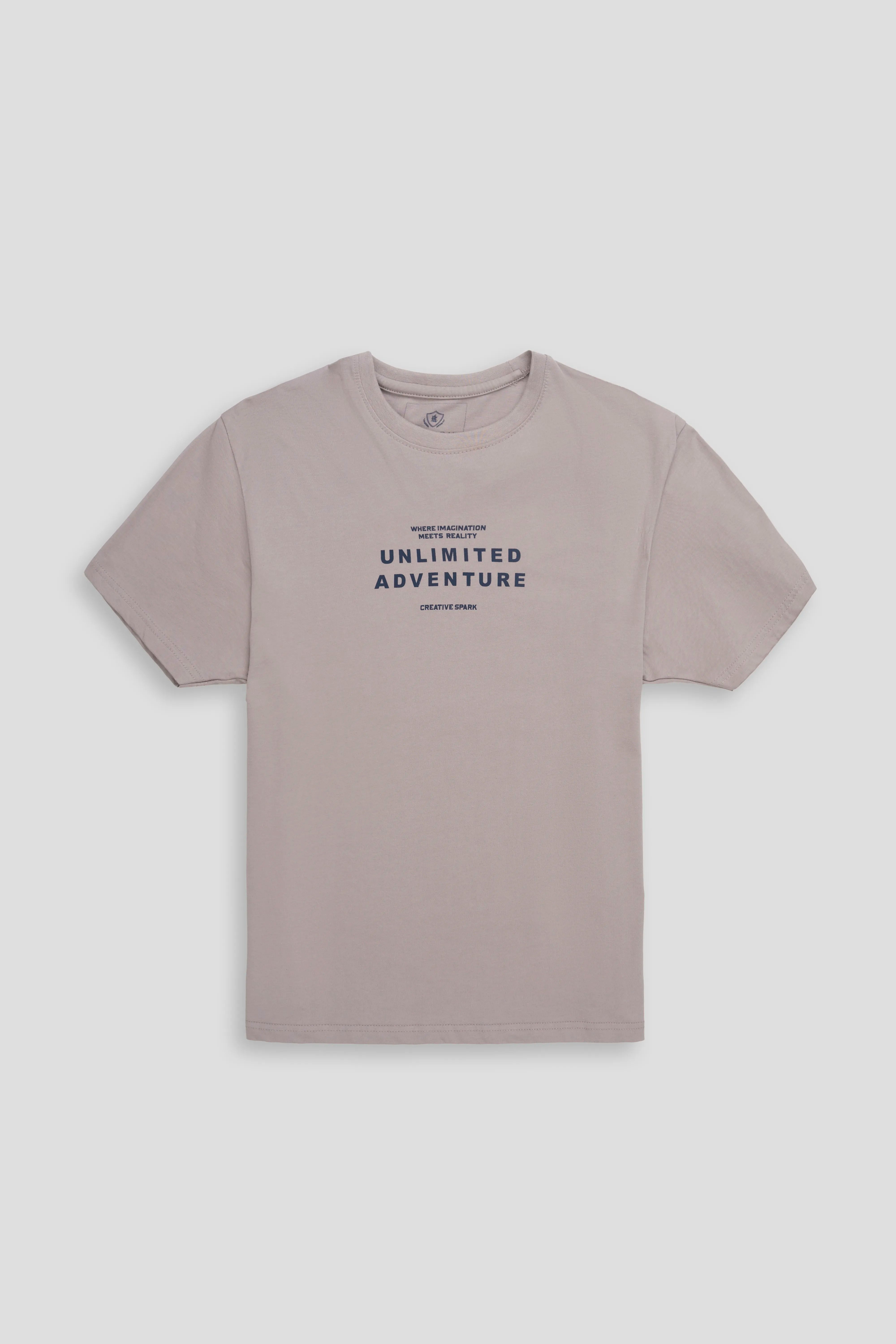 REGULAR FIT GRAPHIC T-SHIRT KHAKI
