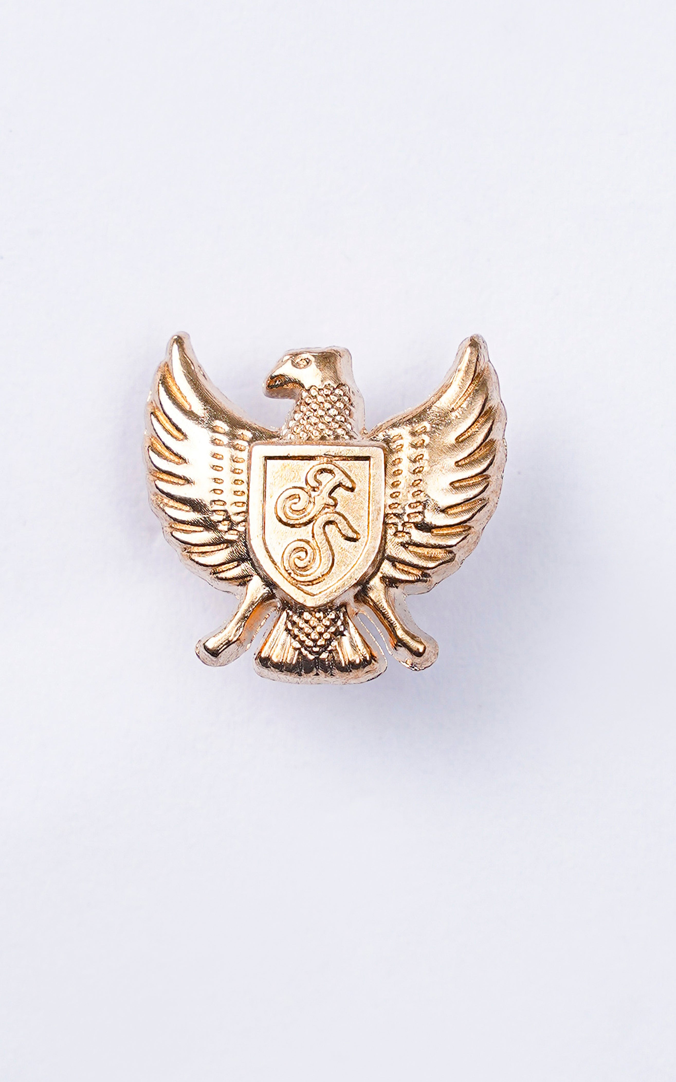 LAPEL PIN