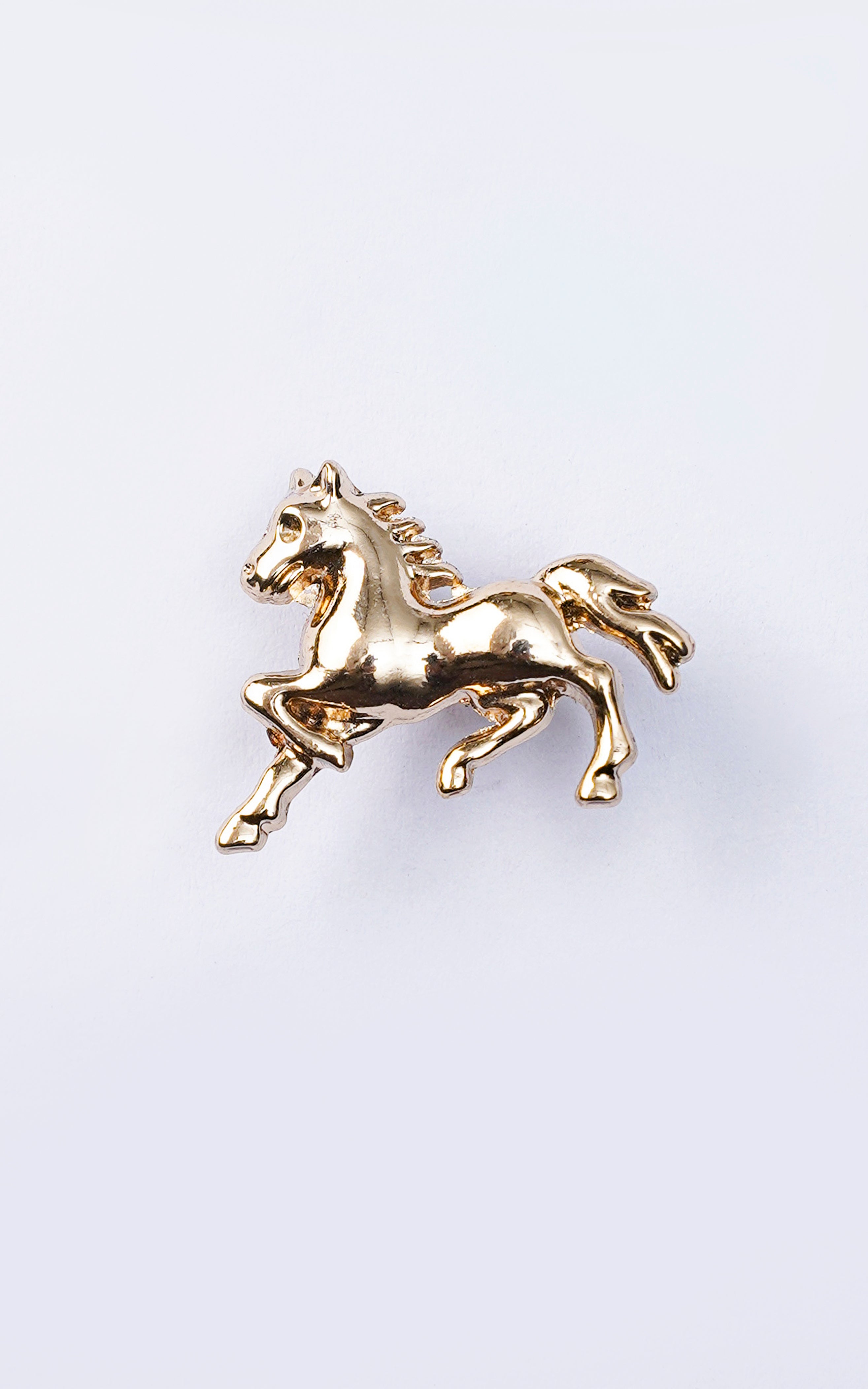 LAPEL PIN