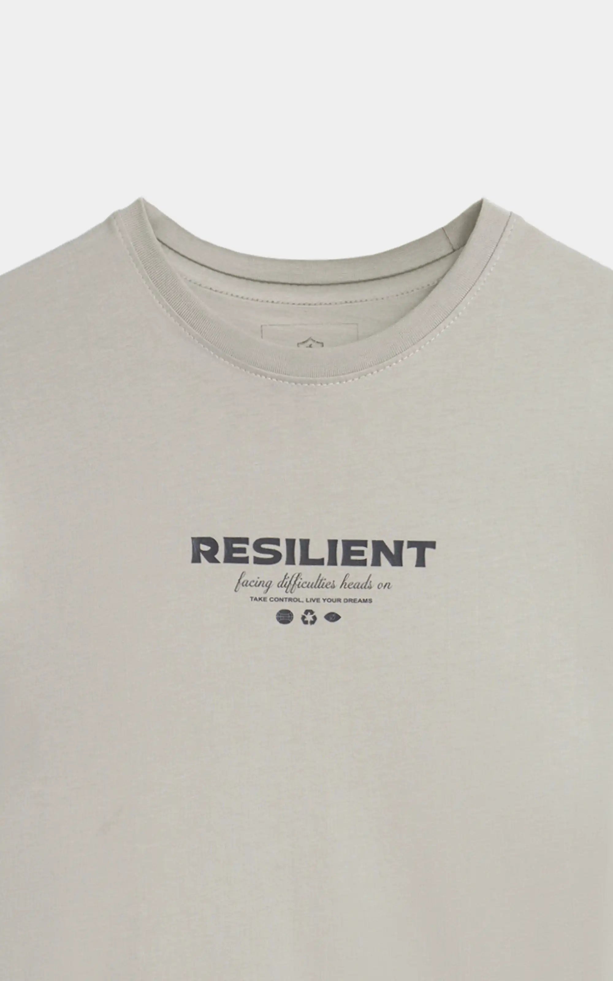 OVERZISE FIT GRAPHIC CREW NECK T SHIRT MINT GREEN