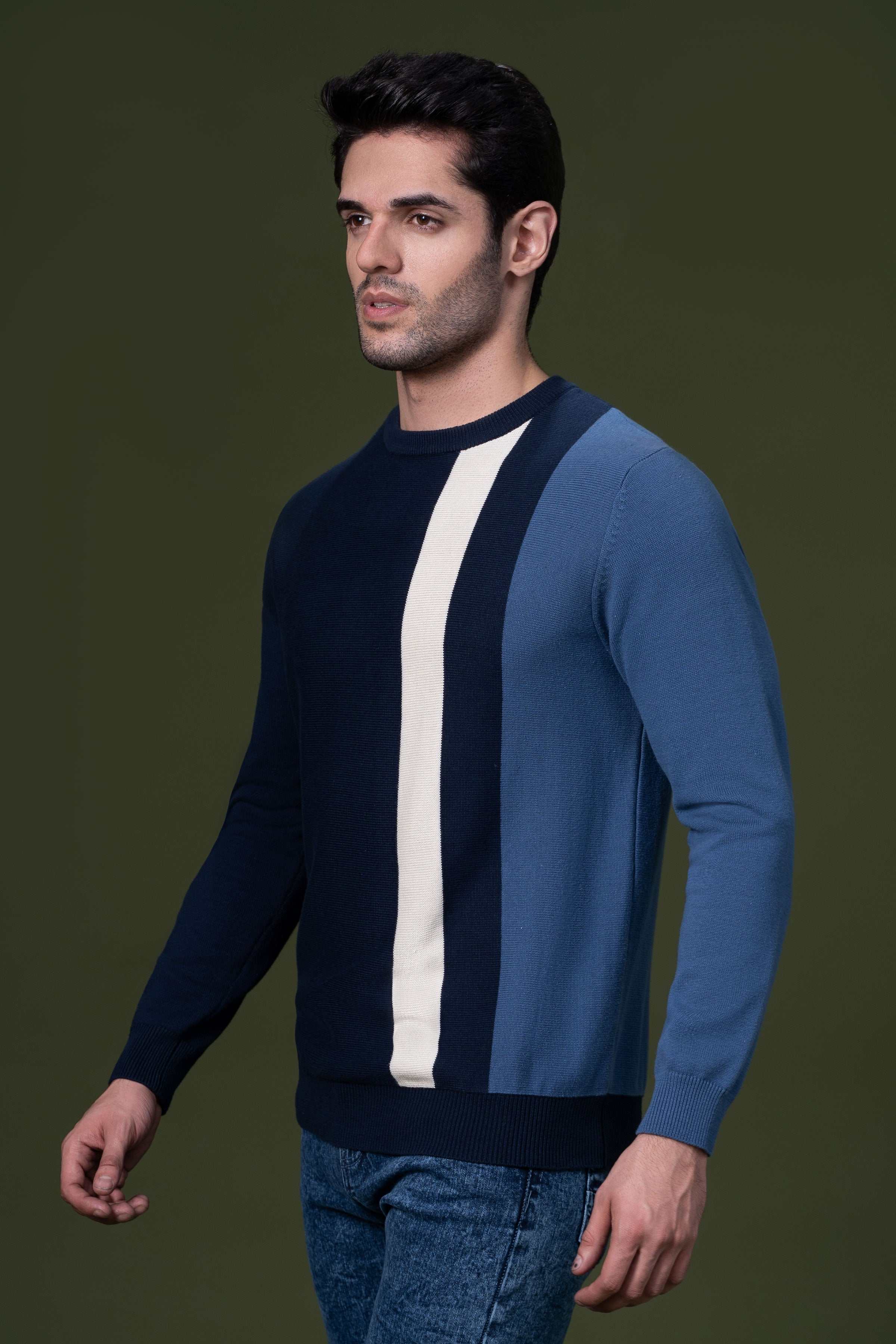 FULL SLEEVE SWEATER NAVY at Charcoal Clothing